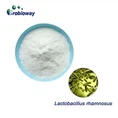 مسحوق L.rhamnosus